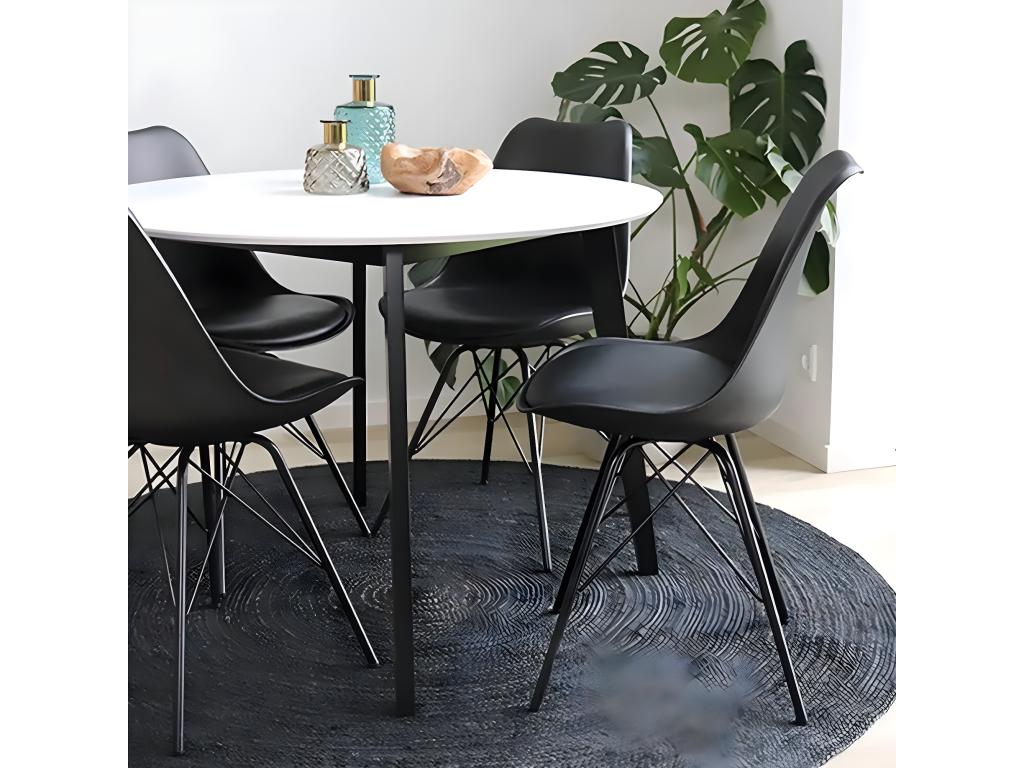 Mobilier d'intérieur en métal noir - dlz1766575217396